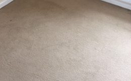 carpets (2)